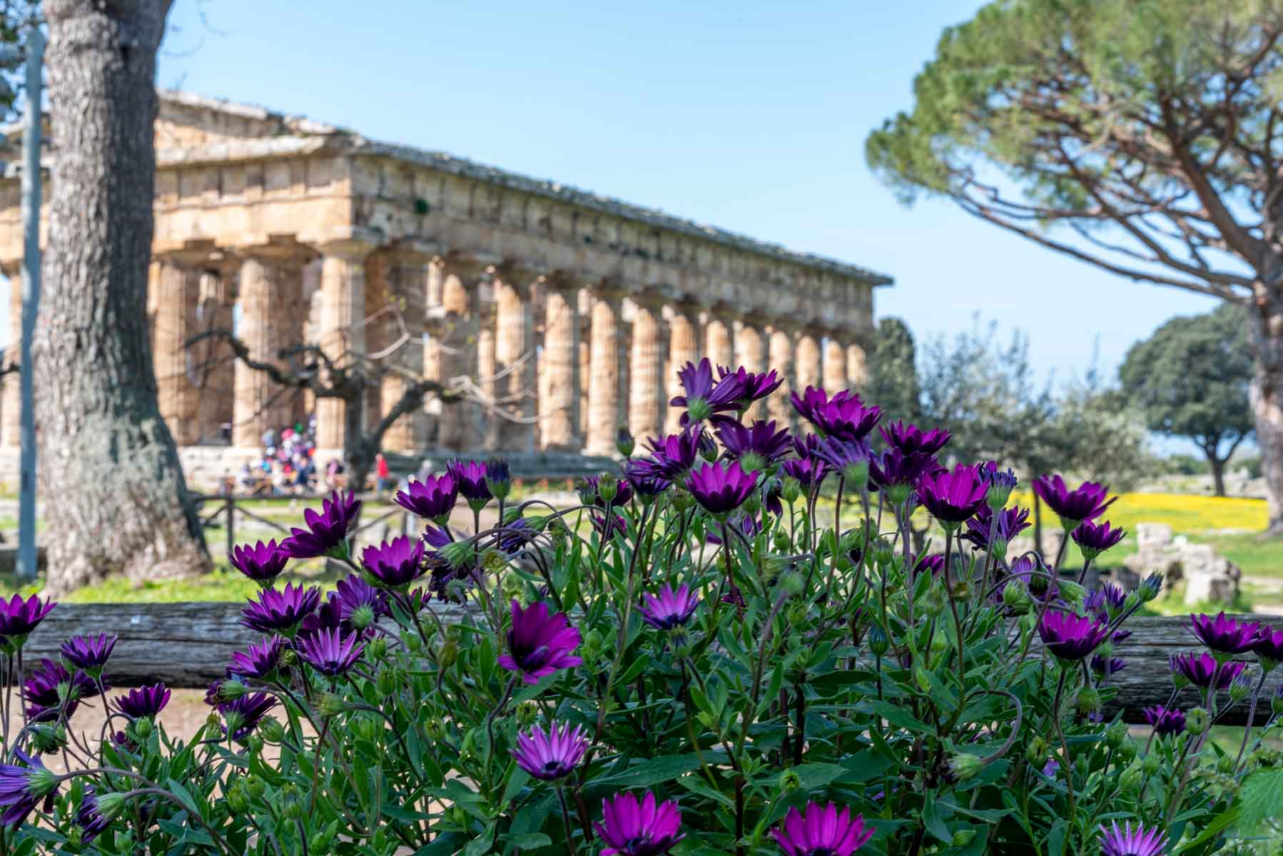 Bed & breakfast Magna Graecia